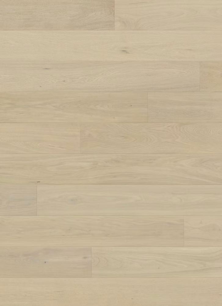 Akebono - Hinode, Japanese Oak