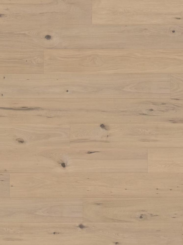 Amamizu - Hinode, Japanese Oak