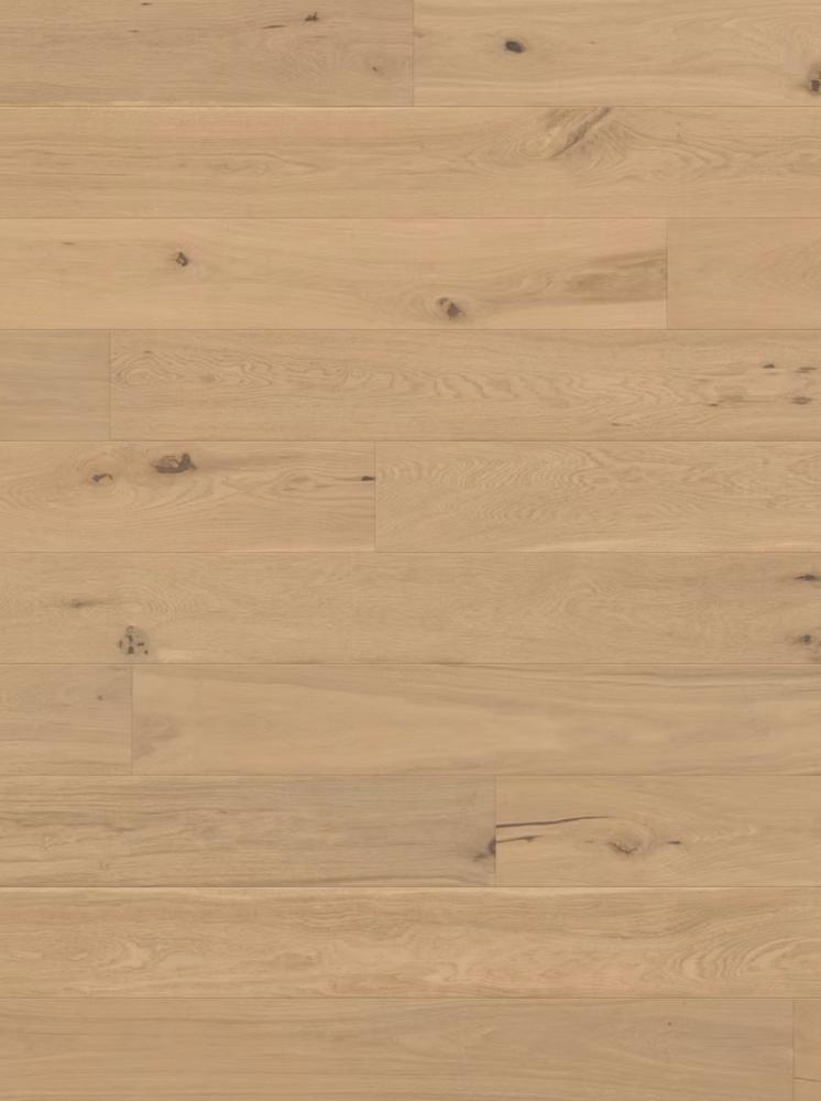 Asahi - Hinode, Japanese Oak