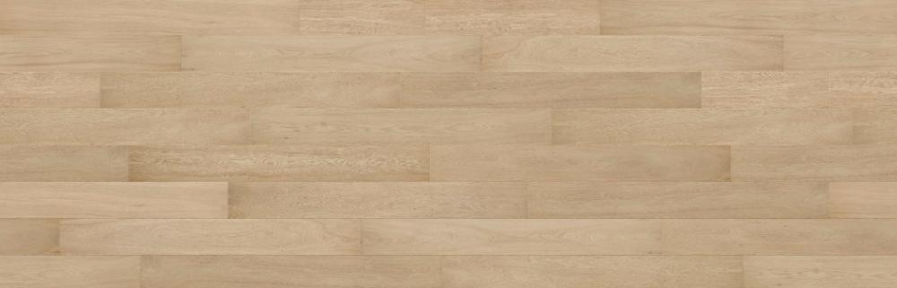 CELESTIAL Prime, Haven