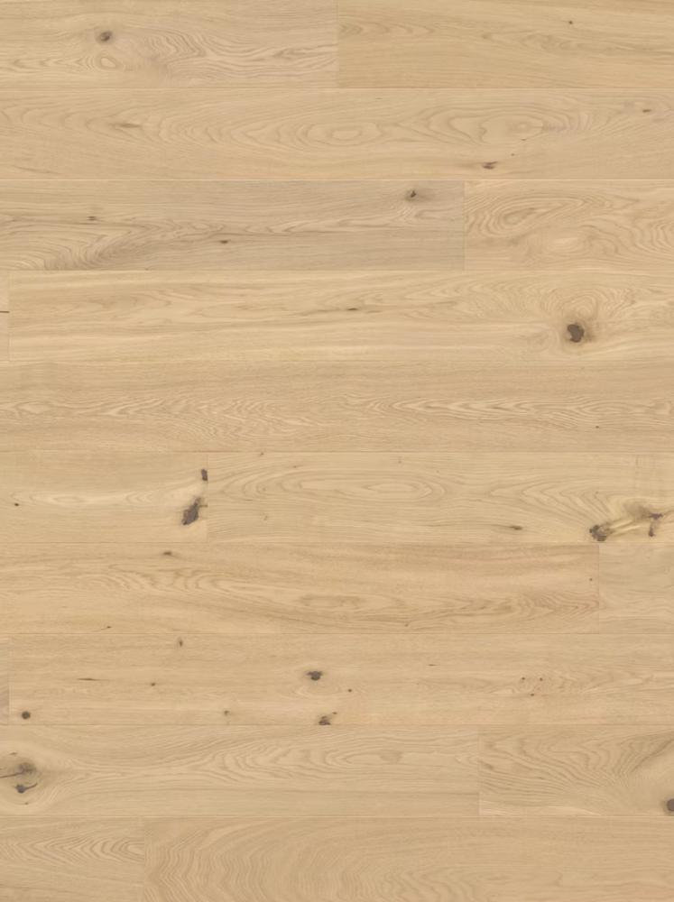 Meigetsu - Hinode, Japanese Oak