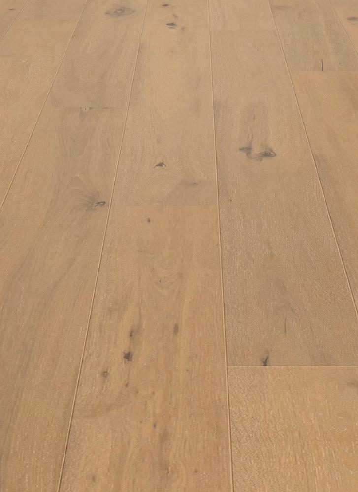 Noharu - Hinode, Japanese Oak